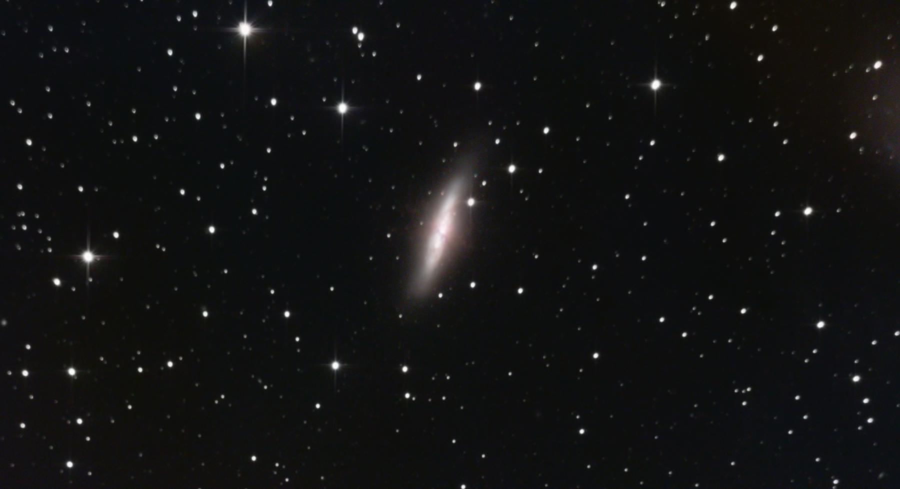 M82