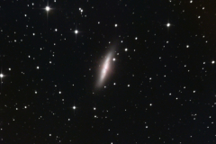 M82